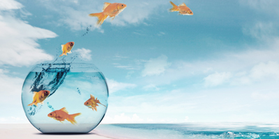 大事にしている３つの価値観